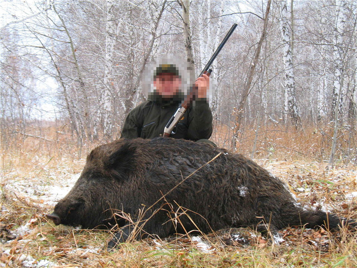 俄罗斯野猪狩猎