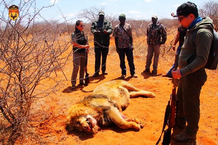 南非狮子狩猎团