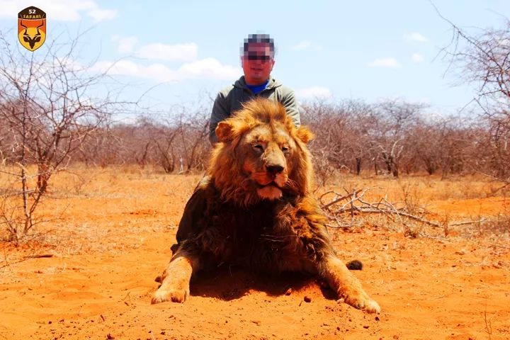 南非狮子狩猎团